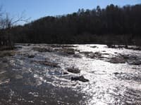 Rapids past Moncure Dam