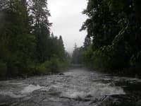 Typical rapid on this section
