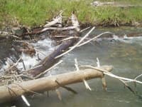 Log Jammer