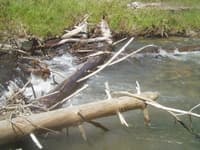 Log Jammer