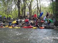 Pony Pasture Cover