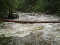 Strainer on Gooney run