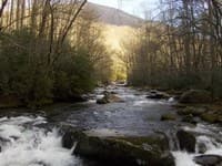 Hike Up Elkmont
