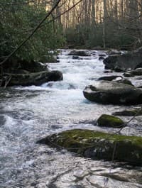 First solid rapid