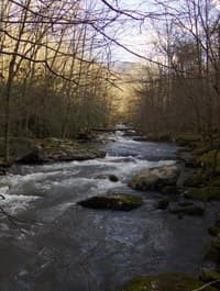 Scenic and continuous