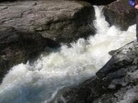 Sieve Rapid