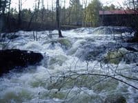 Waterloo Falls