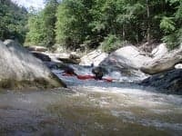 Tony's Rapid
