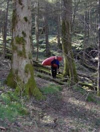 Hiking the old fisherman's trail