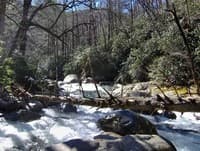 Logjam rapid