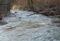 (AG) view downstream from the put in at the confluence