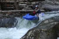 Typical Holly Creek Drop