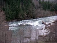 Bobcat Rapid From Above