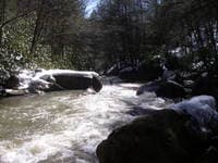 Worlds Ugliest Rapid