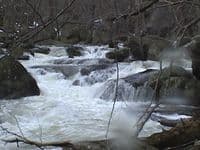 Upstream View of Sorry!