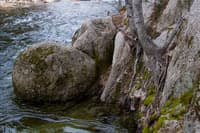 Gauge Rock at Wawona-2