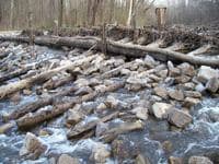 Dowstream Side of Low Head Strainer Dam