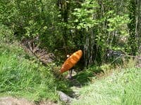 River Trail