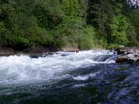 Bull Run rapid