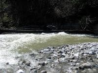 Fox Creek