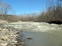Fox Creek, NY