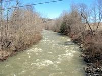 Fox Creek