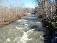 Fox Creek, NY