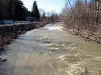 Fox Creek, NY
