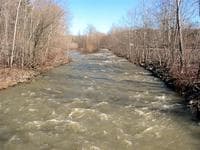 Fox Creek, NY