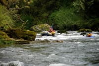 Hung up at low water