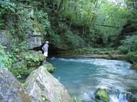 Greer Spring - immediately above the "boil"