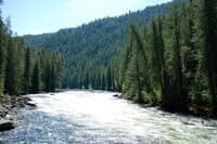 Fall Creek Rapid