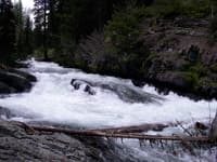 DOT Rapid, second pitch