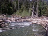 Log Jams