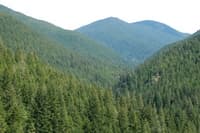 Looking up the Little North Santiam Valley