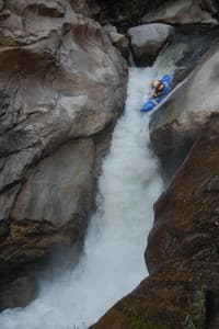 Driftwood, EF Kaweah