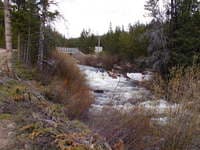 Douglas Creek near the top