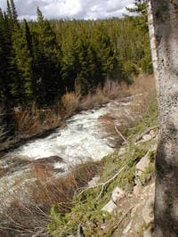 Douglas Creek