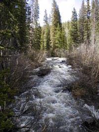 Douglas Creek after it calms down some