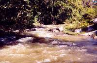 Z Turn Rapids