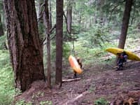 Put-in Trail