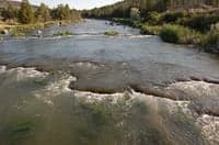 Bear River Take Out