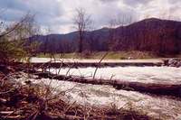 Low Water Bridge/Putin