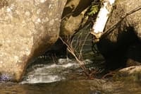 Sieve at Split Hair Rock