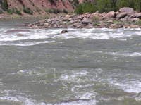 SOB Rapid