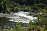 Wingate Rapid