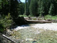 Logs