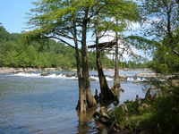 Presbyterian Falls