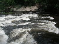 Accelerator Rapid