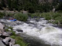 Island Rapid